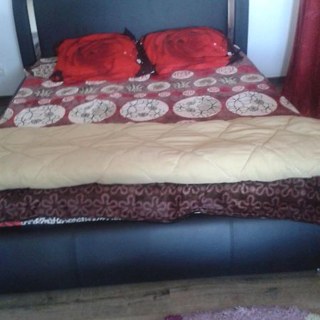 Villa Alex Slatina  Ngoại thất bức ảnh
